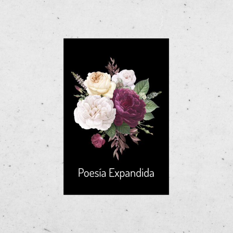 poesiaexpandida2